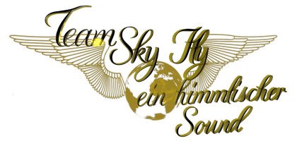 Team-Skyfly